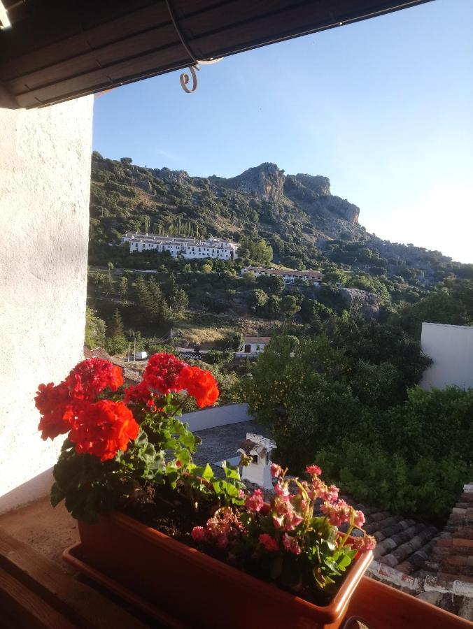 Casa Rural En Grazalema Eksteriør bilde