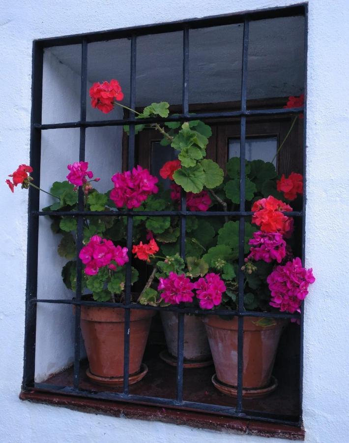 Casa Rural En Grazalema Eksteriør bilde